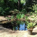 木屋 T'bakkersboschje Nummer 9 皮滕