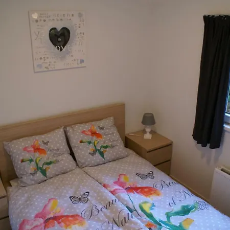 Chalet T'bakkersboschje Nummer 9 Putten