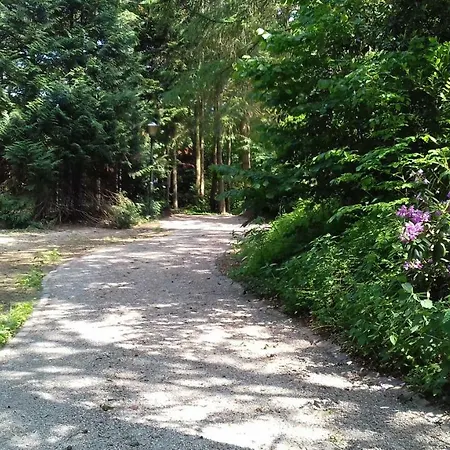 Шале T'bakkersboschje Nummer 9