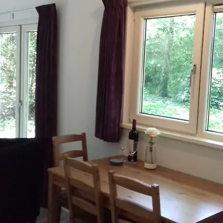 Chalet T'bakkersboschje Nummer 9 *