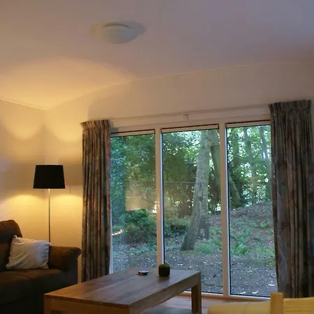 Chalet T'bakkersboschje Nummer 9 Putten