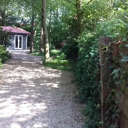 Chalet T'bakkersboschje Nummer 9 Putten