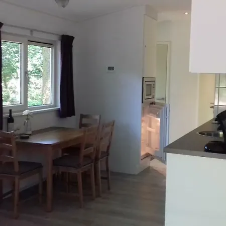 Chalet T'bakkersboschje Nummer 9 Putten