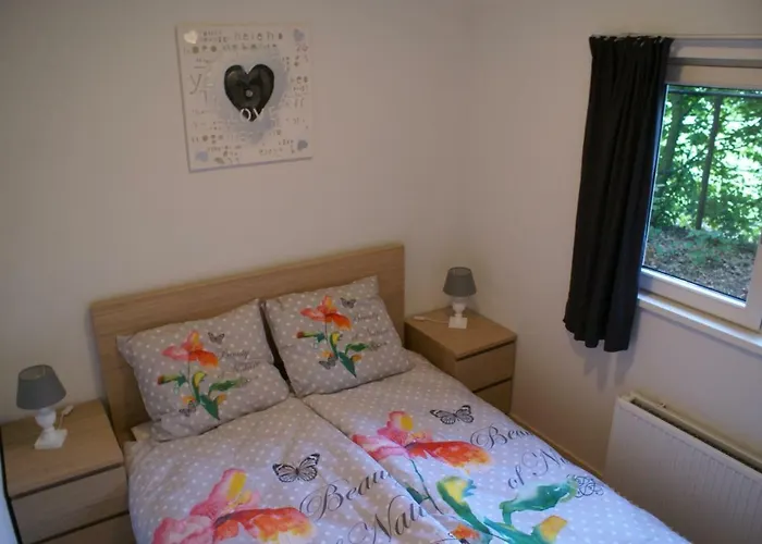 Chalet T'bakkersboschje Nummer 9 Putten