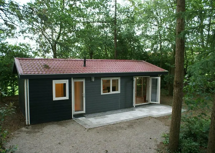 Chalet T'bakkersboschje Nummer 9 Putten