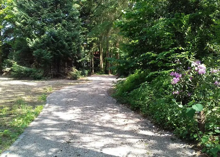 Chalet T'bakkersboschje Nummer 9