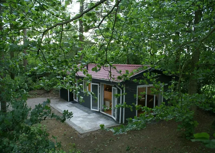 Chalet T'bakkersboschje Nummer 9 *