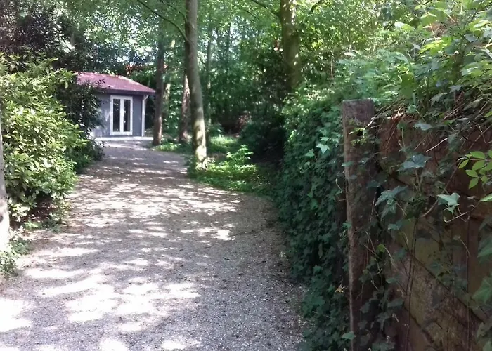 Chalet T'bakkersboschje Nummer 9 Putten