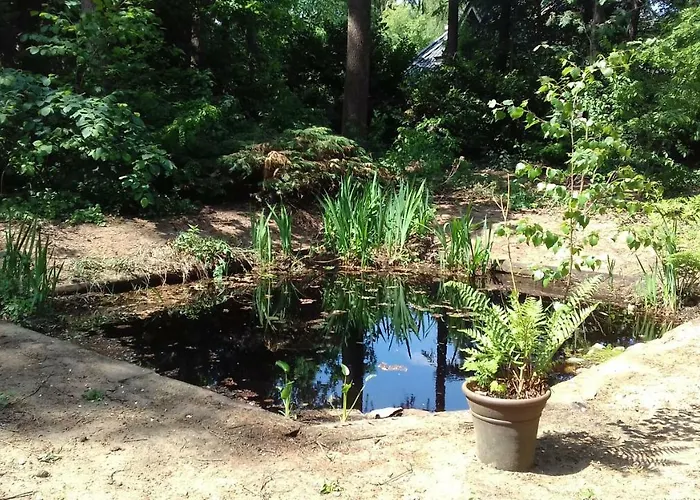 Шале T'bakkersboschje Nummer 9 Пюттен