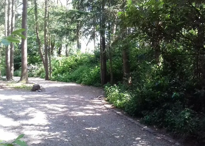 T'bakkersboschje Nummer 9 Шале