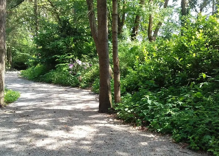 Шале T'bakkersboschje Nummer 9 *